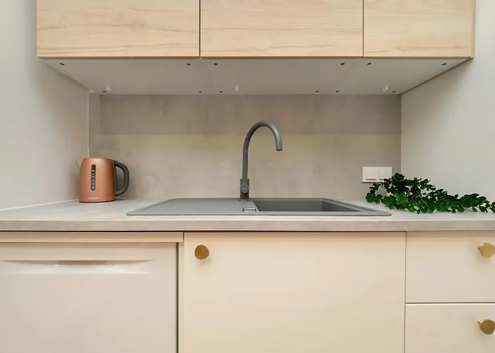 Bright Milionowa In Perfect For Remote Work By Renters * Łódź